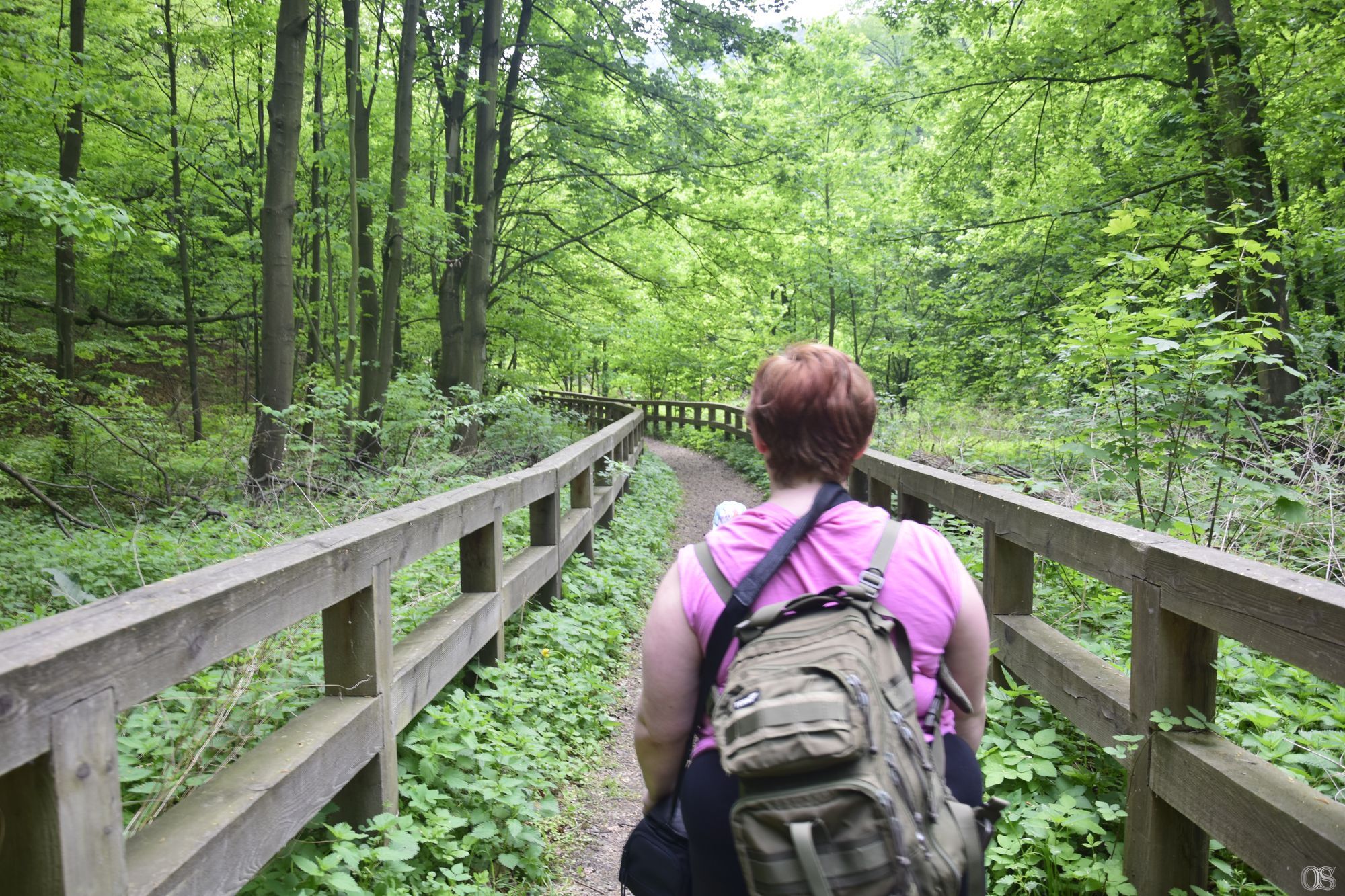 Sciezka Hochbergow 23.jpg